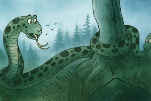 516329642 9923390061102617 8455933981887174 n