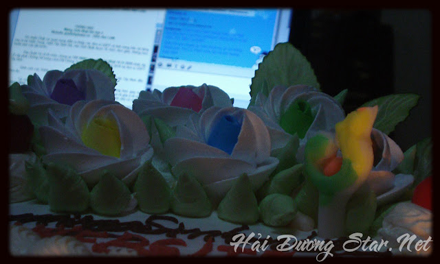 Hoài niệm: Sinh nhật Website GĐPT Việt Nam và Diễn đàn Lam lần thứ 3 tổ chức tại Quảng Trị năm 2010 19 DSC06022