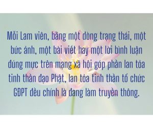 514408943 755928646997953 2457950816403781936 n 1