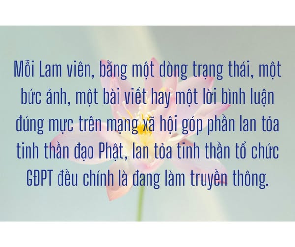 514408943 755928646997953 2457950816403781936 n 1