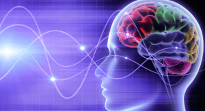 tapchinghiencuuphathoc qua trinh hinh thanh va phat trien luan ly hoc phat giao 1751861368