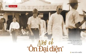 cut ondaidien 3080 5582.jpg